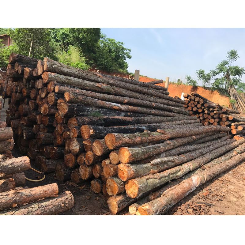 松木樁使用注意事項有哪些?