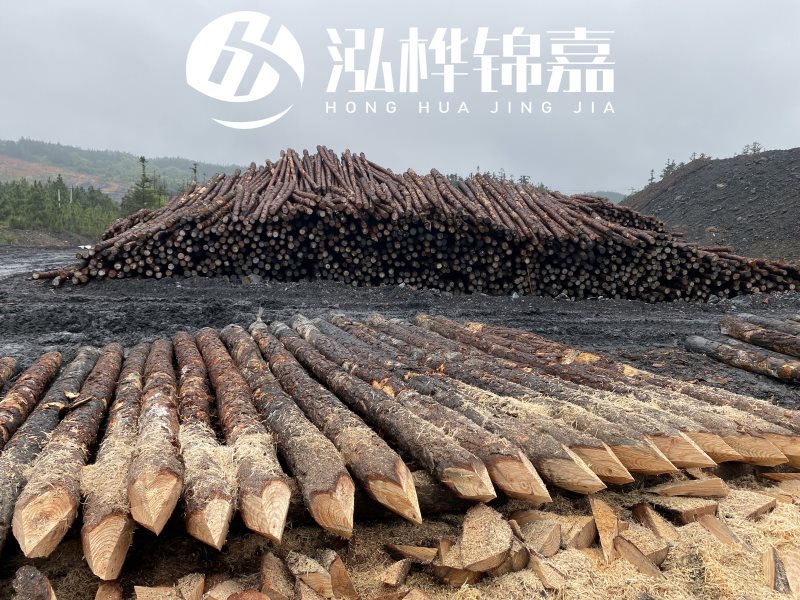 6米長松木樁有哪些作用，多少錢一根？