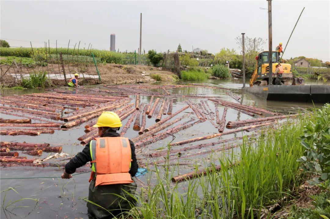 改善水環境！徐行122條段村級河道用木樁對河岸進行加固整治