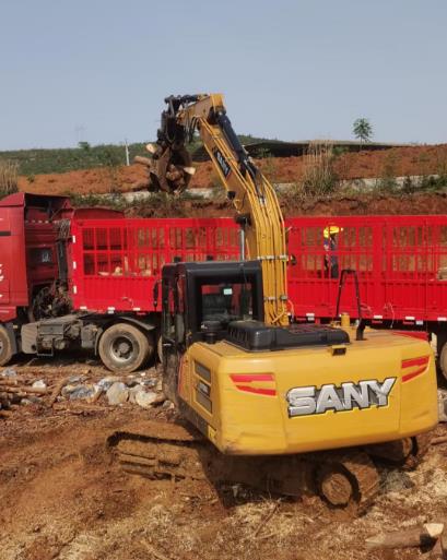松木原木、松木條，漲勢如虹，現在搶購最劃算(附松木原木供應廠家介紹)