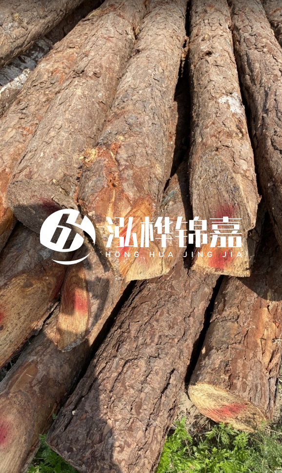 <strong>松木樁和杉木樁的用途區(qū)別?哪個(gè)更適合打樁用?</strong>