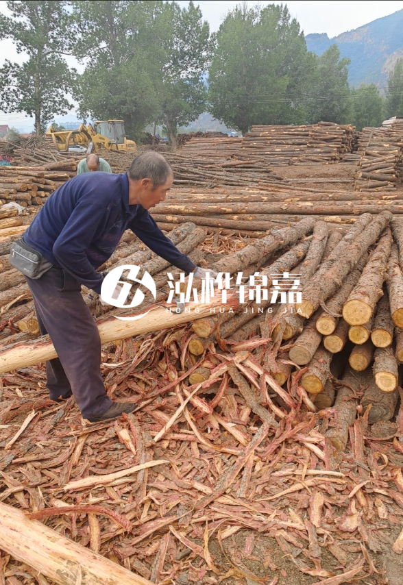 東營(yíng)河道清淤專業(yè)施工隊(duì)-不同型號(hào)挖機(jī)清淤能力對(duì)比？