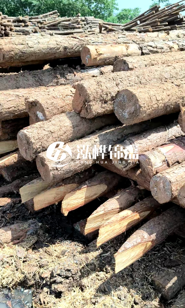 荊門挖機打木樁專業(yè)施工-河道打木樁前是否要清理河道底部雜物？