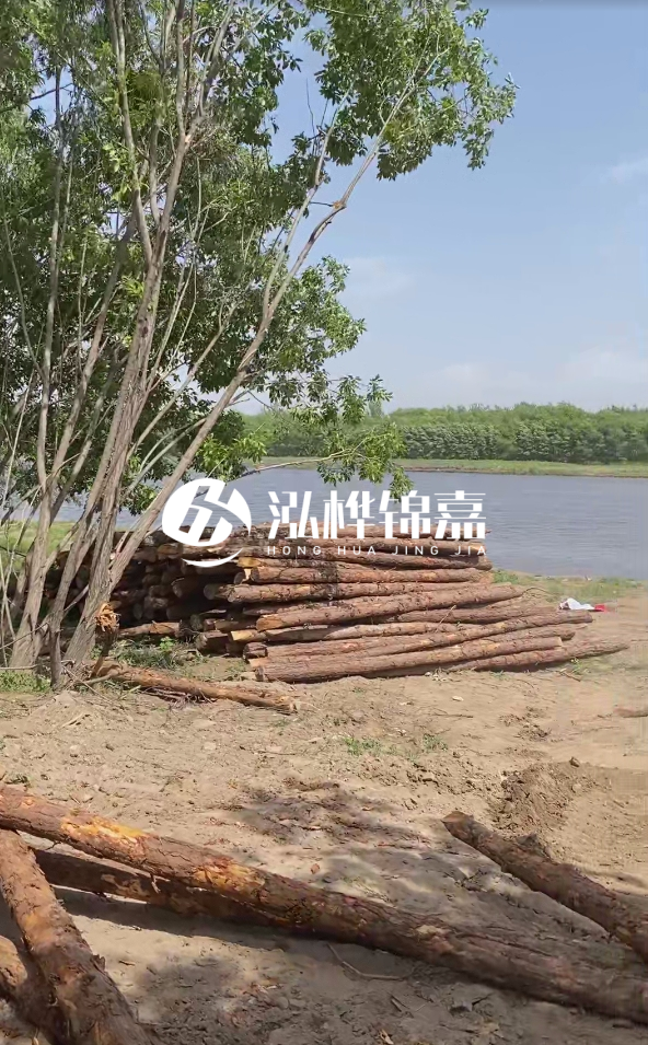 慶陽挖機打木樁專業施工-松木打樁過程中如何避免木材開裂？