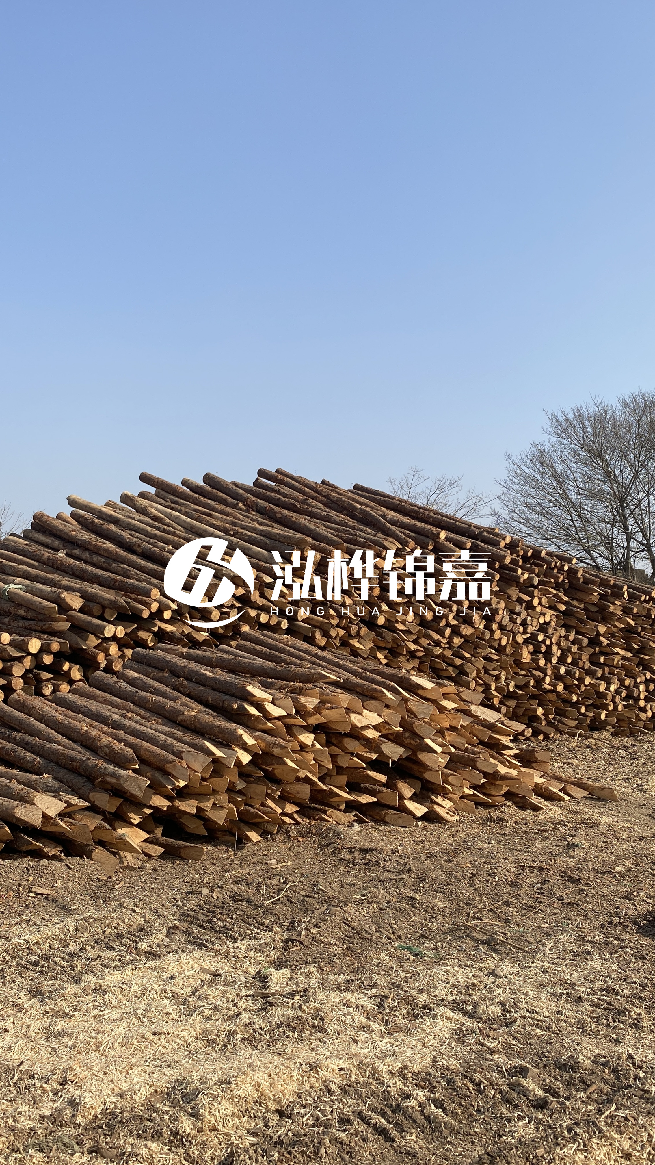 松木樁頭徑比尾徑大多少？計算方式是什么？