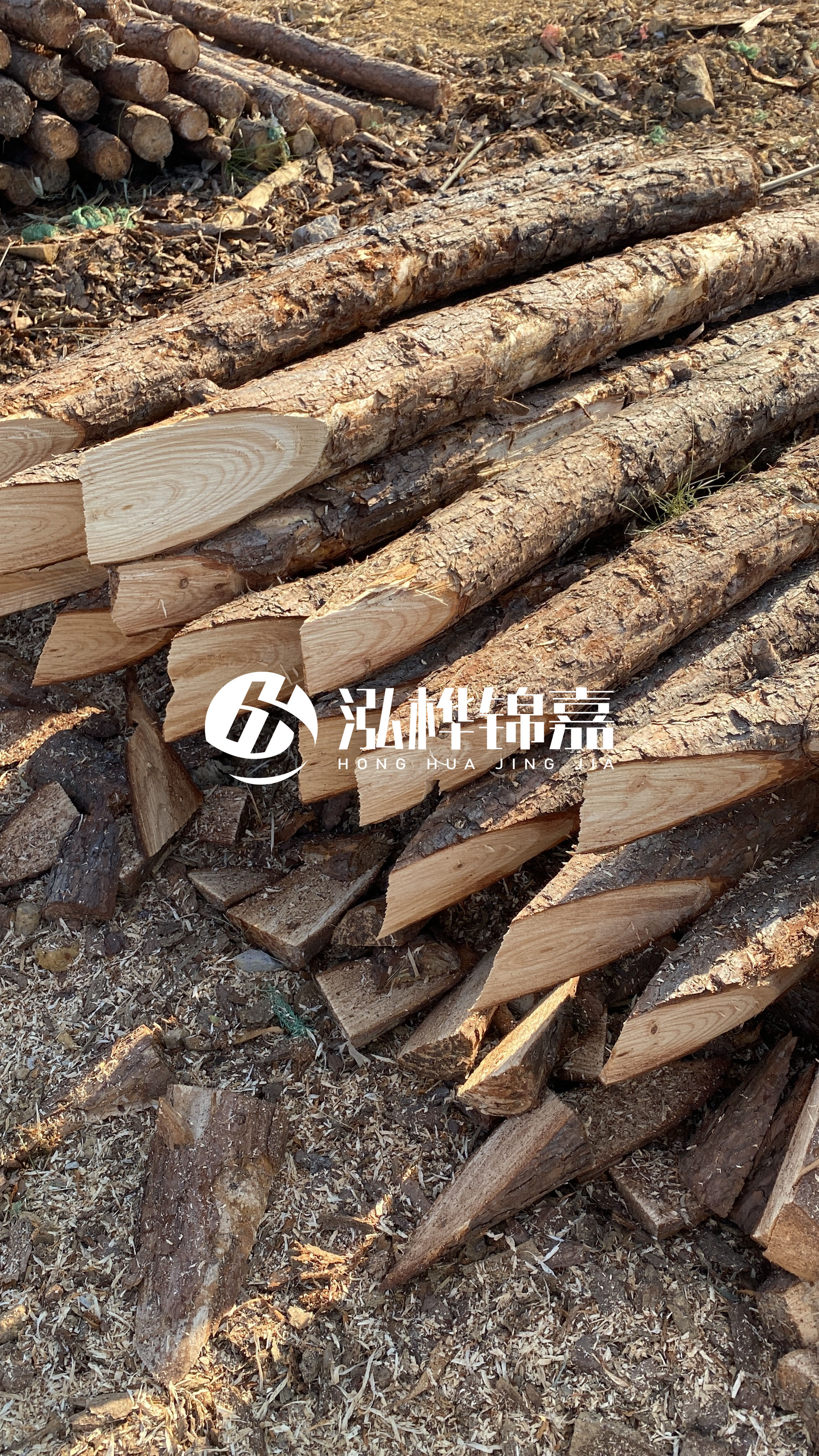 4米小頭直徑10-12公分松木樁價格揭秘：究竟多少錢一根？快來了解！