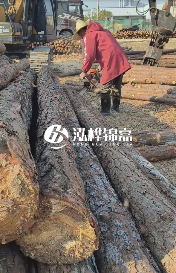 長沙打樁木批發廠家在哪里?聯系方式是什么?