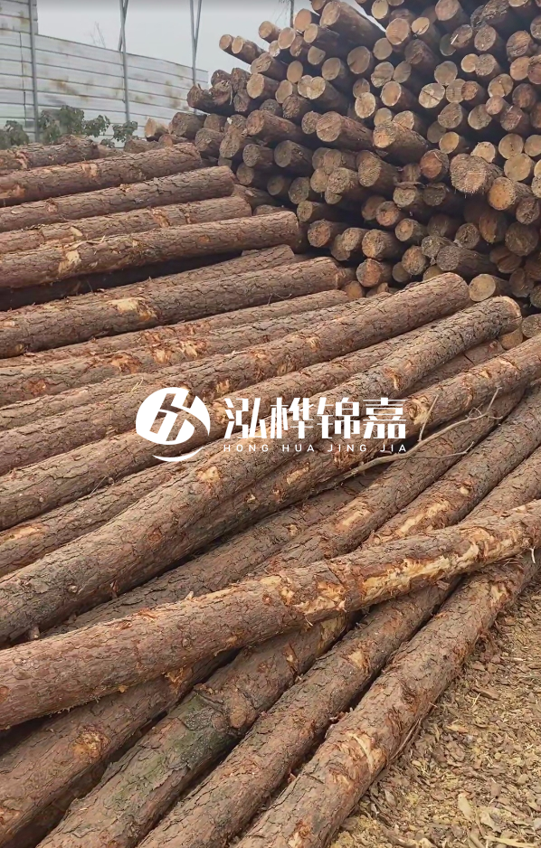 山西河道木樁護岸價格多少錢一米-每米河道打樁要花多少錢?