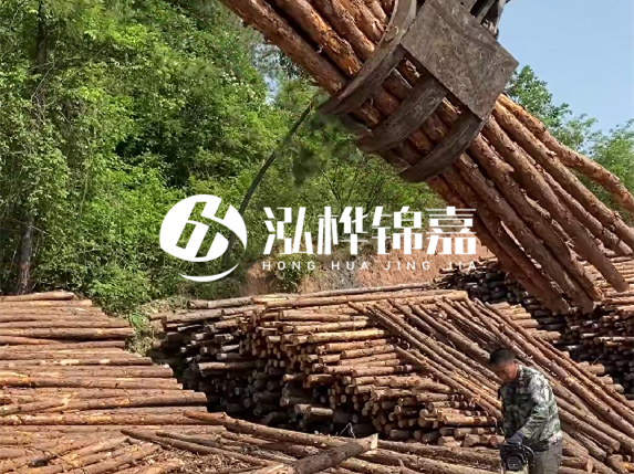 防汛木樁頂部怎么防裂?防汛木樁被洪水沖歪怎么辦?