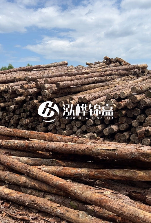 松木打樁木的價格波動受哪些因素影響？杉木樁能代替松木樁嗎？