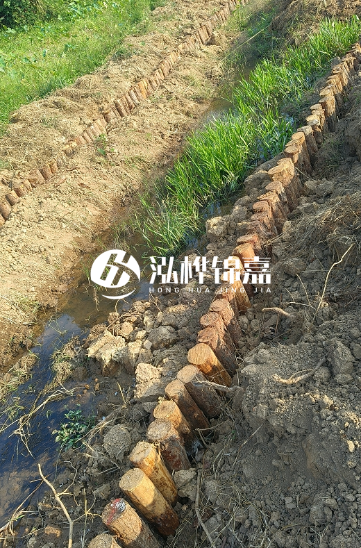 湖南松木樁批發廠家直銷-松木樁做碳化多少錢一根？