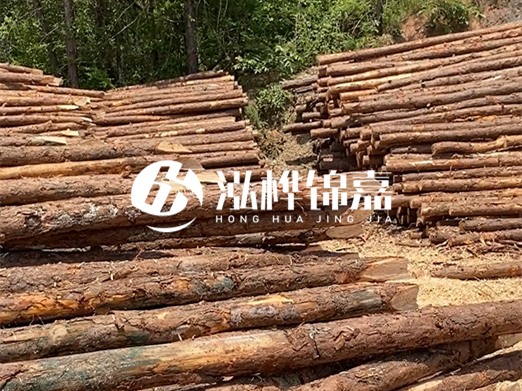 松木樁的運輸費用是否包含卸車費？卸貨時需要注意哪些安全問題？