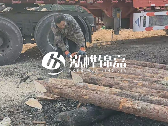 松木圓木價格大概多少一方-松木樁廠家按方可以賣嗎？