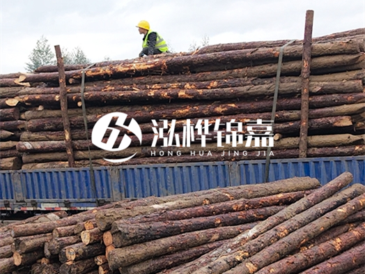 防洪防汛用松木樁的單價(jià)是多少？4米長10公分多少錢一根？