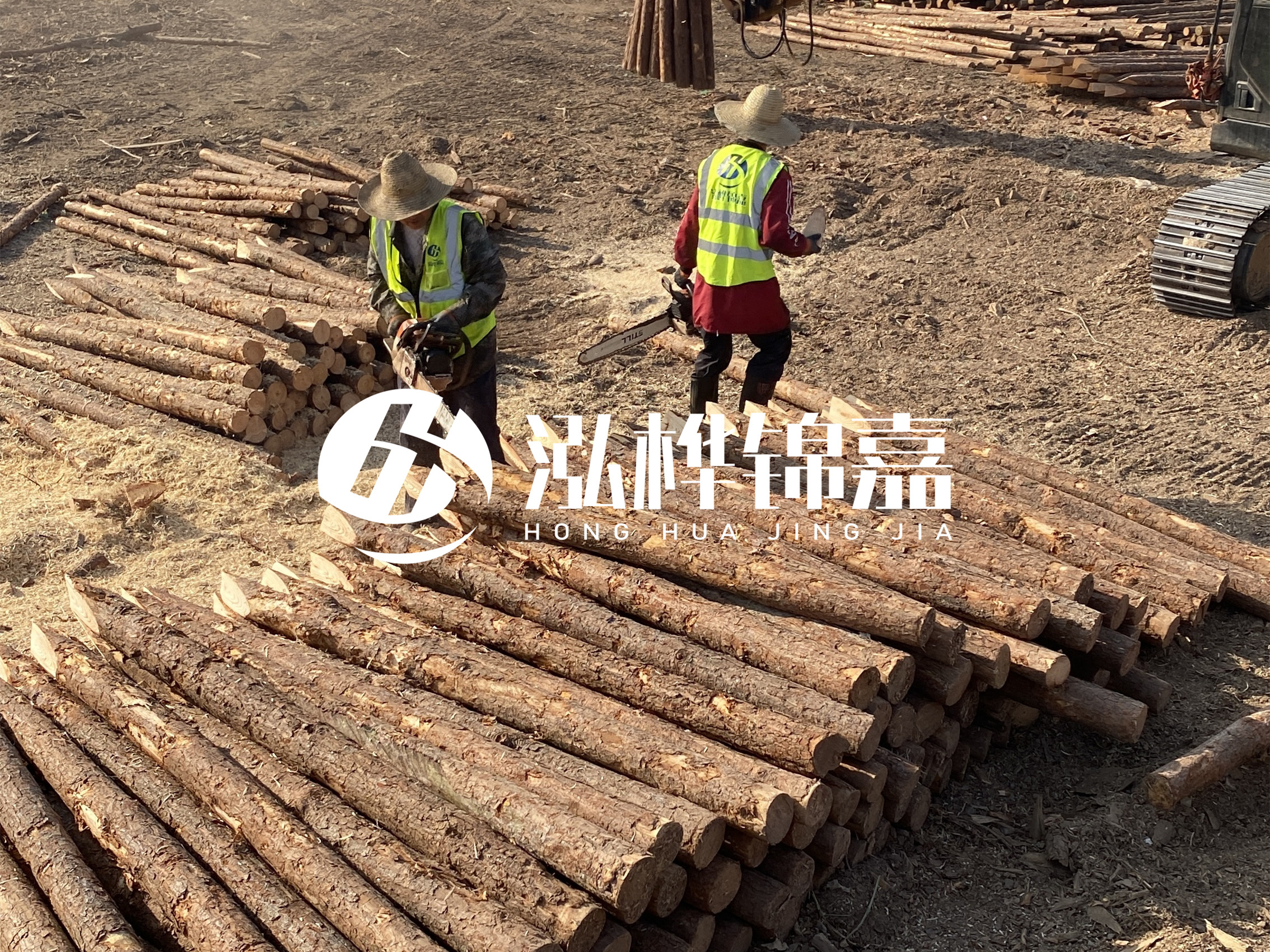 河道木樁報(bào)價(jià)在汛期前后會有波動嗎？什么時(shí)候買最便宜？