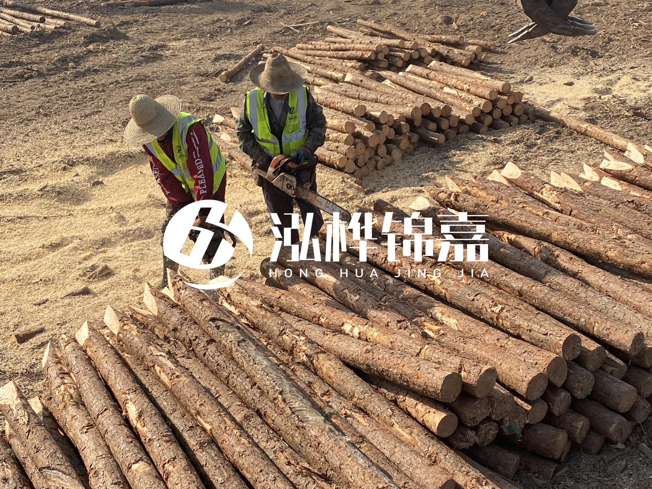 河北打樁木廠家主要生產(chǎn)哪些材質(zhì)的打樁木？產(chǎn)品有哪些規(guī)格？