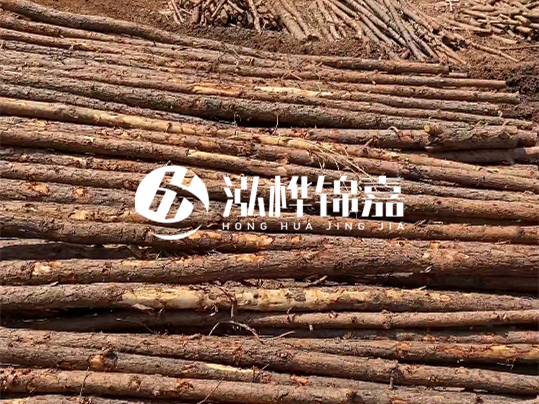 10公分的木材多少根為一方 - 4米10公分樹多少根為一方?