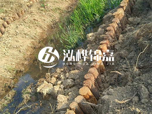 3米松木樁施工成本多少-直徑12公分打樁多少錢一根？