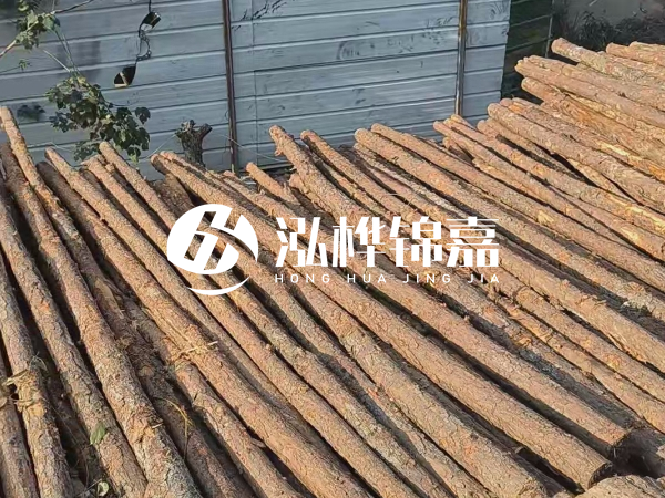 松木樁打樁后清淤怎么處理?有沒有全包的公司?