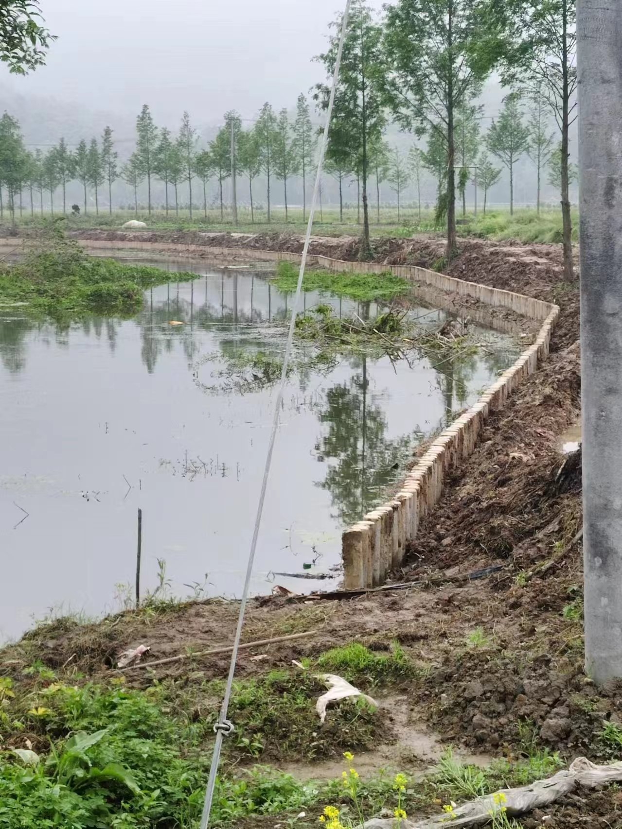 湖南水泥樁施工隊(duì)泓樺錦嘉-打水泥樁需要注意哪些事項(xiàng)?