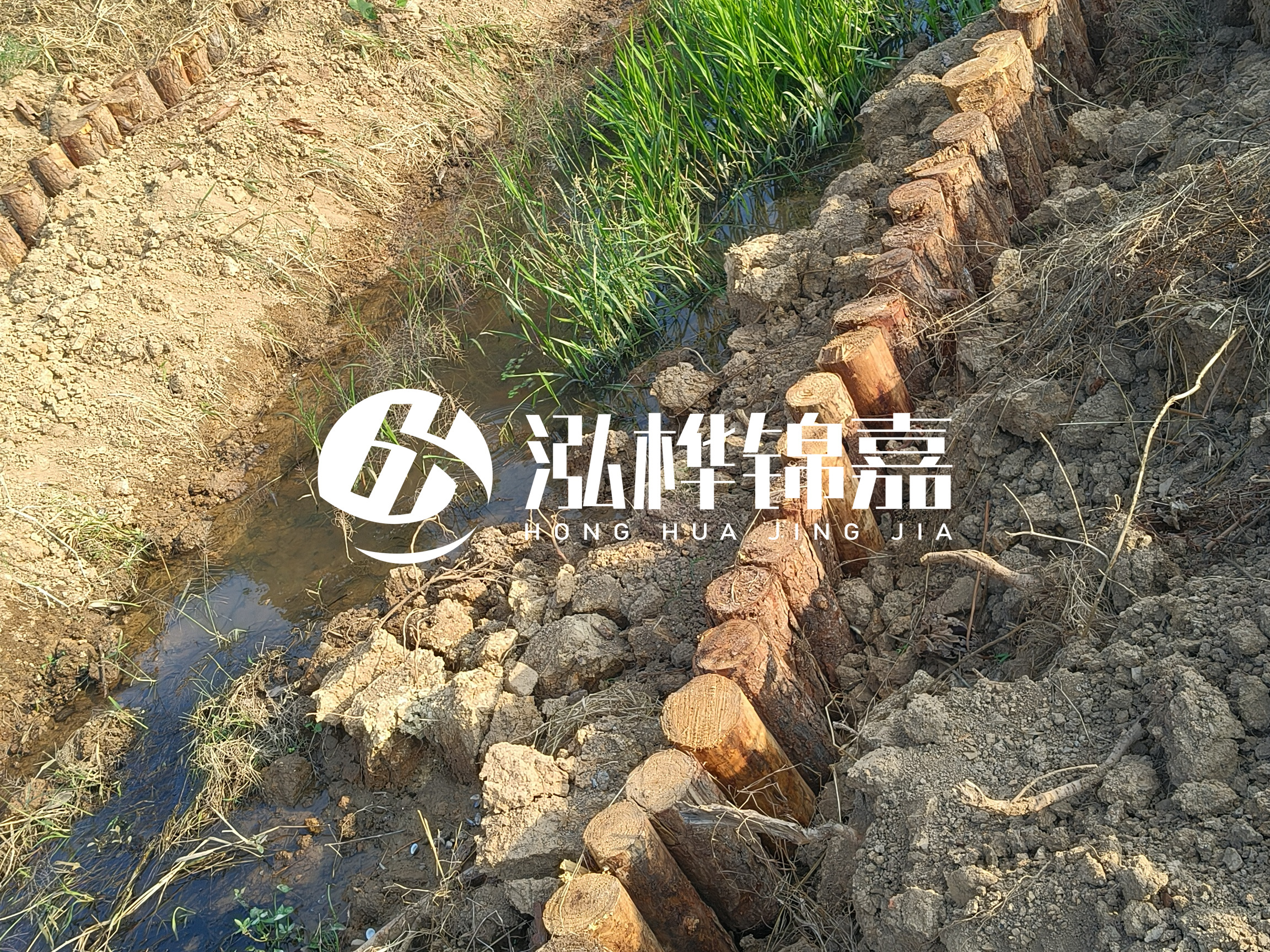 松木樁批發廠家泓樺錦嘉-樁間距指的是什么間距？