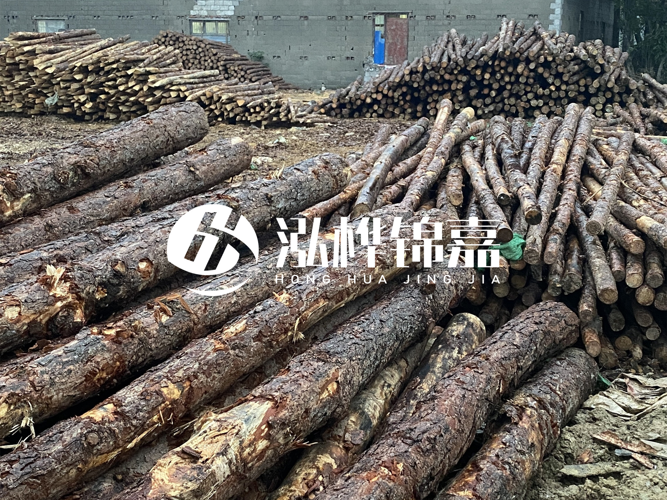 松木樁批發廠家泓樺錦嘉 - 河道松木樁如何選擇優質木材？