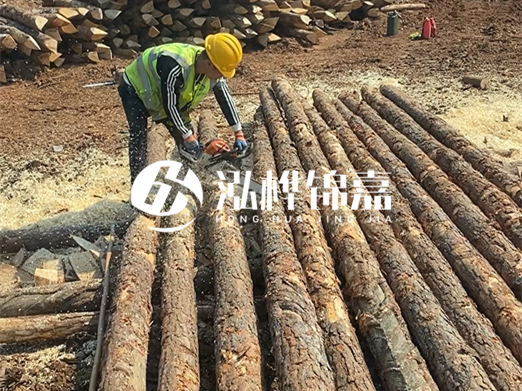 松木樁批發廠家泓樺錦嘉-河道打樁木施工中怎么防止樁頭被打壞？