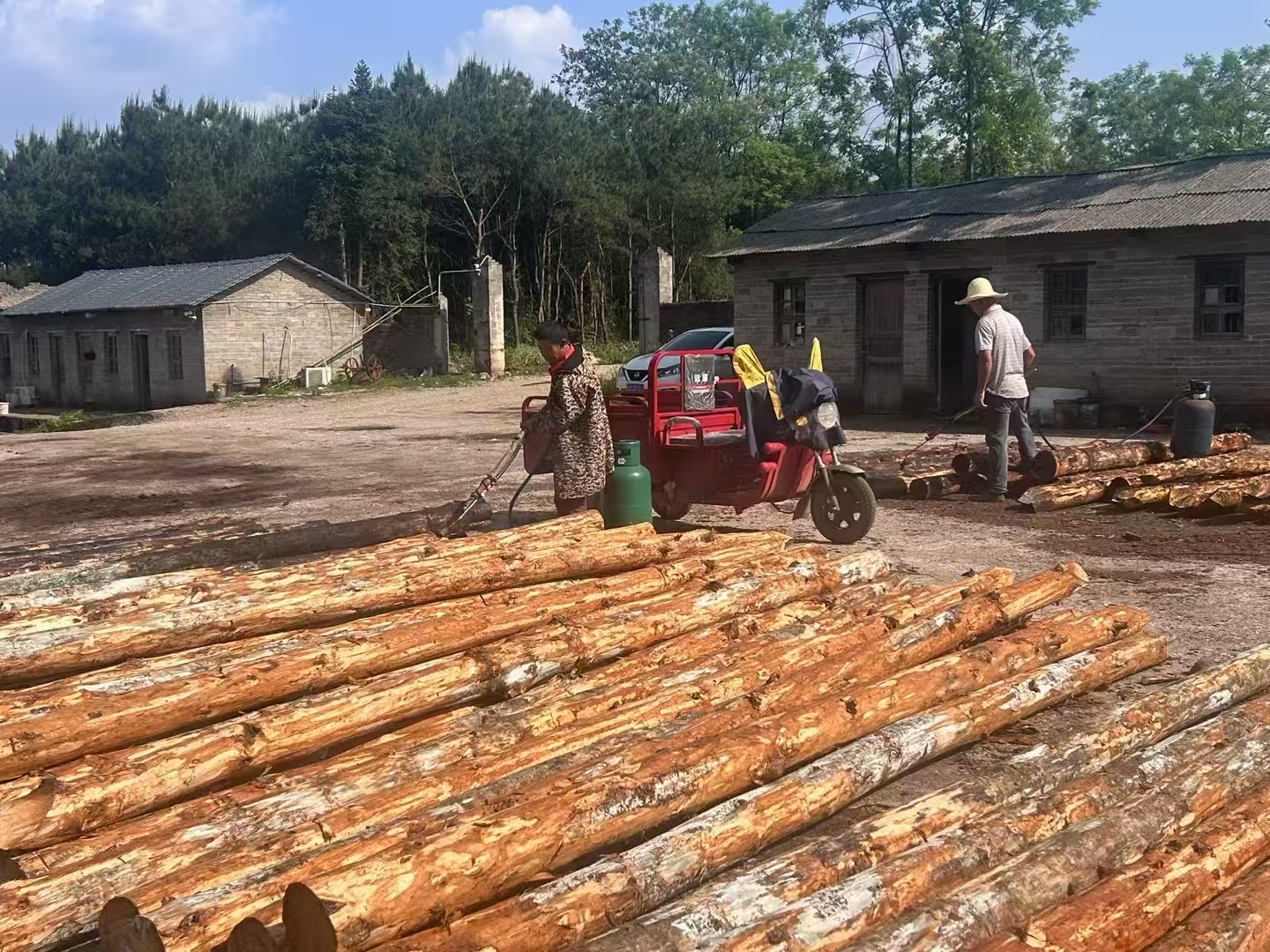 松木樁批發廠家泓樺錦嘉-圍堰松木樁為什么要交錯排列？