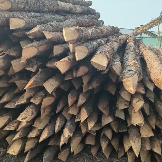 松木樁施工隊泓樺錦嘉 - 河道改造用什么規格的打樁木?