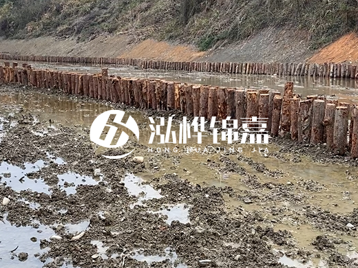 松木樁施工隊泓樺錦嘉 - 河道打松木樁施工流程?
