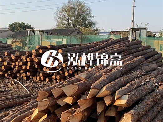 松木樁施工隊泓樺錦嘉 - 河道打樁用什么木樁?