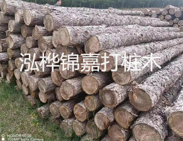 高效修補，保駕護航！水泥路面高強度修補料為您解決煩惱！