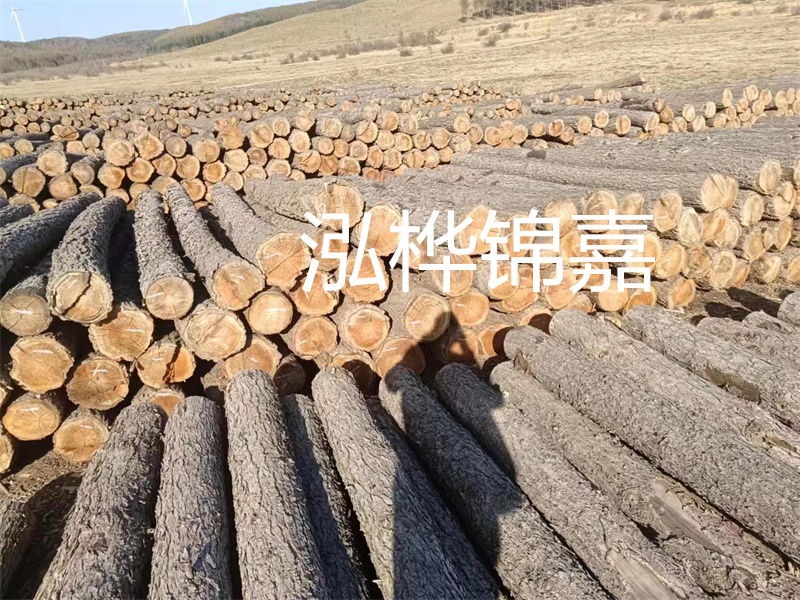 松木樁駁岸施工圖:打造穩(wěn)固堅實的岸防工程