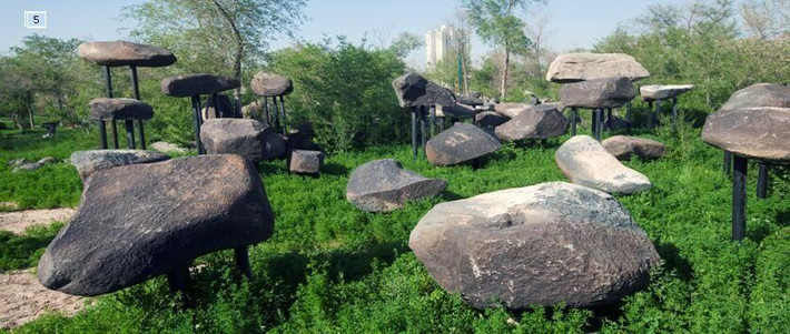 探秘新疆野馬古生態園