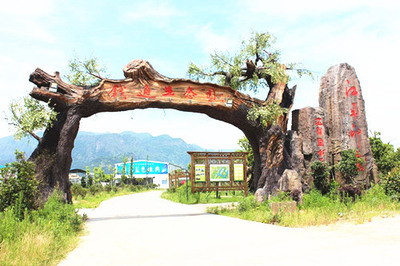 生態(tài)園大門(mén)_假樹(shù)大門(mén)設(shè)計(jì)原則