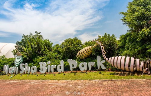 廣東唯一的水鳥(niǎo)生態(tài)園,景色迷人,創(chuàng)意無(wú)限
