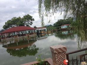 疊彩區(qū)休閑農(nóng)莊生態(tài)園 東西都有接手就可以開(kāi)業(yè)位置好客流大