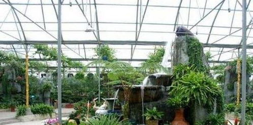 華東地區(qū)最大的農業(yè)生態(tài)觀光園 豐樂生態(tài)園