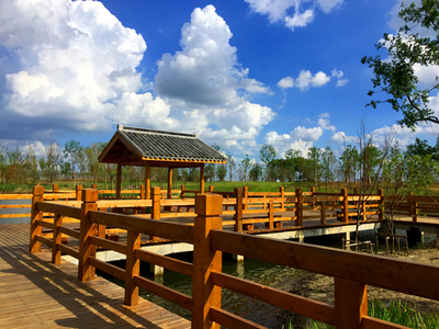 蘇州平望鎮(zhèn)釋放創(chuàng)新力 構筑現(xiàn)代產業(yè)發(fā)展體系