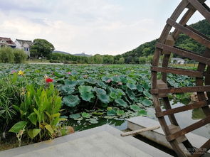龍寺生態(tài)園游記
