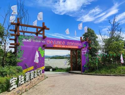 把課堂搬到泥土里，龍泉驛生態(tài)園打造校外勞動(dòng)教育基地