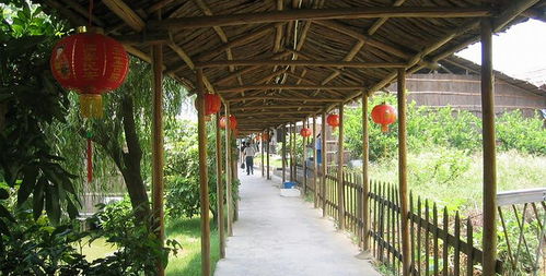 盈香生態(tài)園門票全攻略 預(yù)訂方式、價格信息與游玩指南