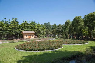 麻涌最美生態(tài)園 免費(fèi)入園，盡享自然饋贈